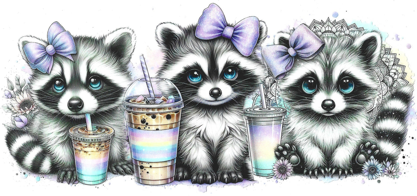 Cute Raccoons